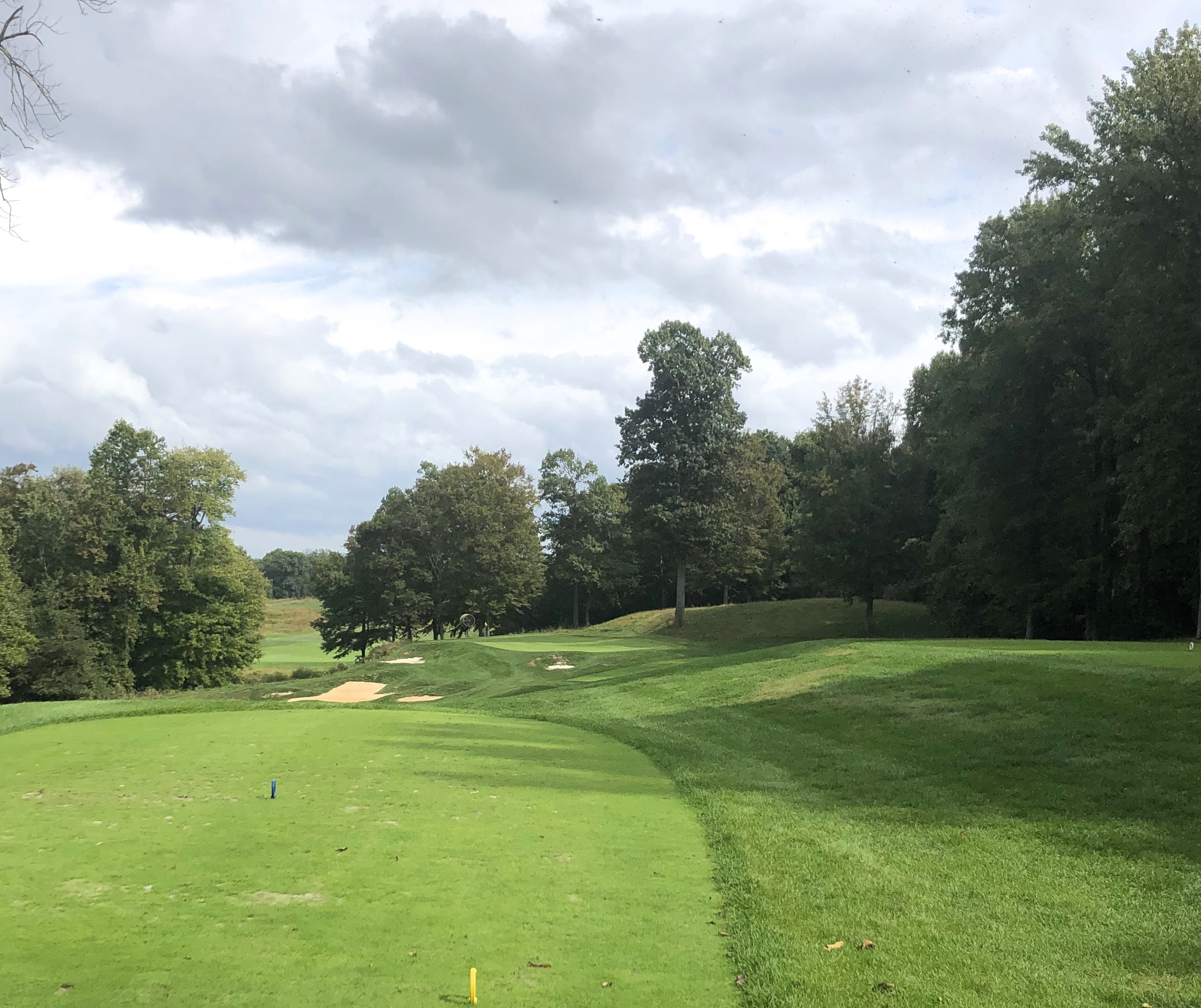 Bulle Rock Golf's par 3 3rd hole, showcasing a challenging green protected by a prominent tree and strategic bunkering.