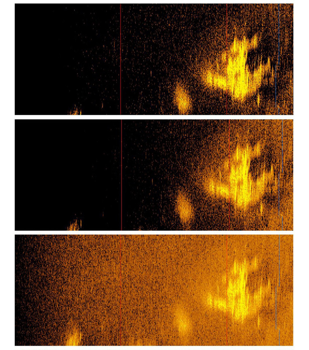 Sonar images reveal rock formation, not Earhart's plane