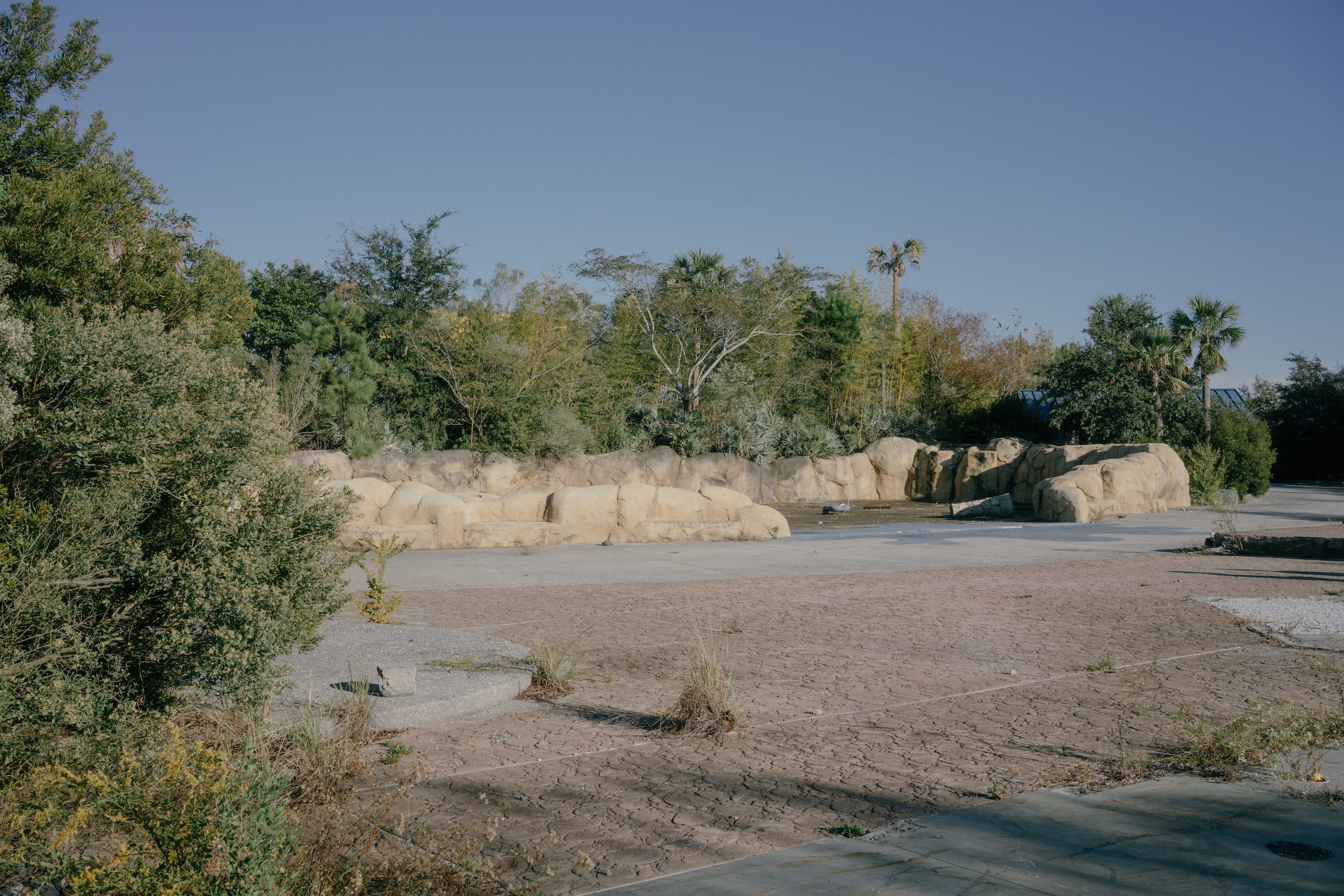 Hard Rock Park's Deserted Grounds with Overgrown Vegetation and Decaying Structures