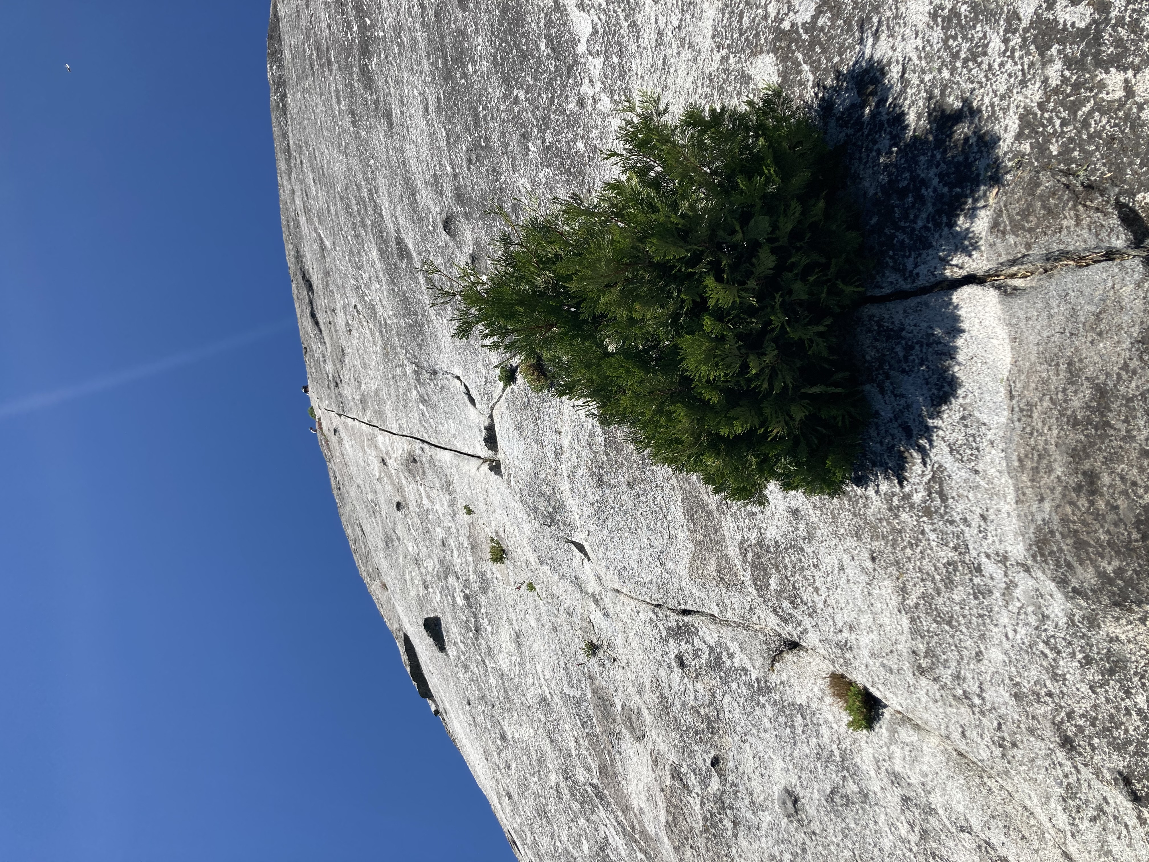 Looking up the second pitch, a classic splitter crack on Dome Rock