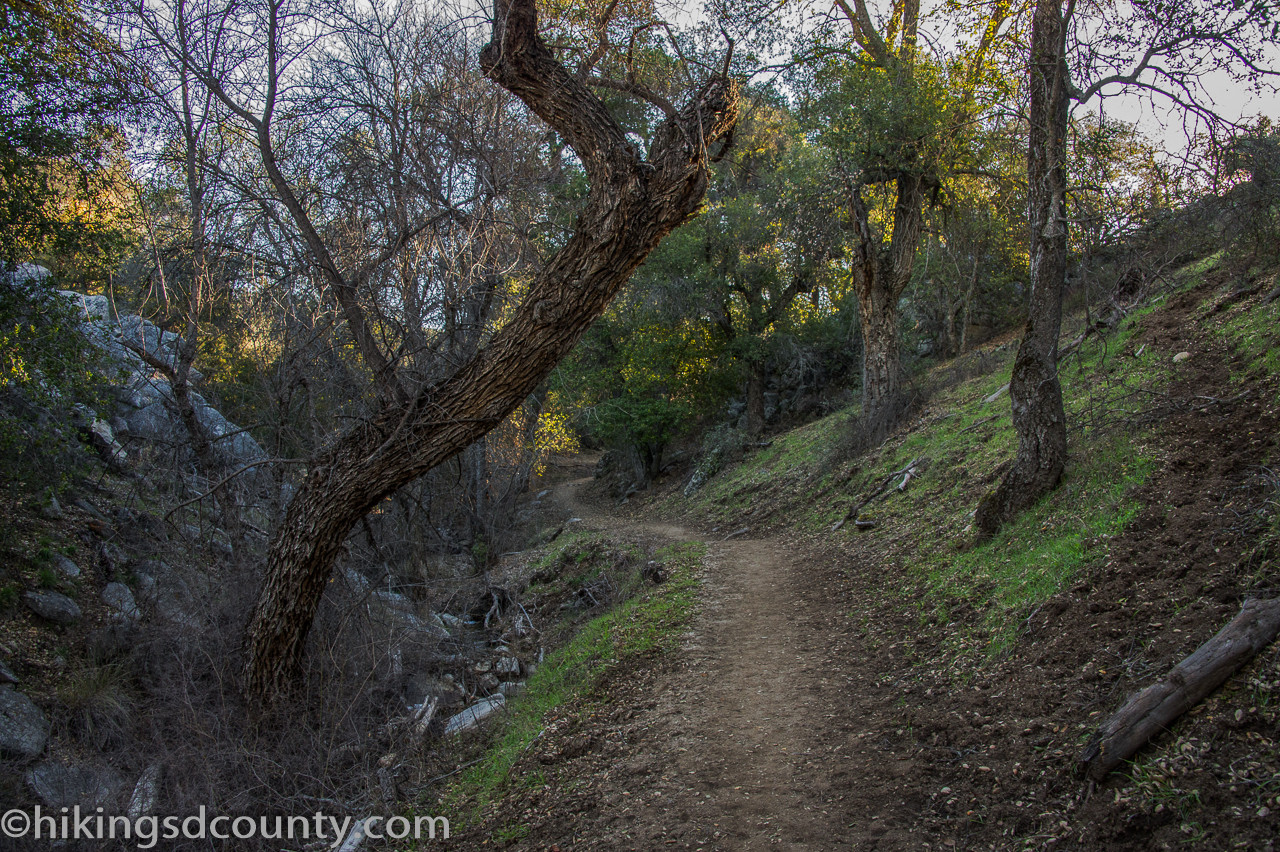 Uphill section of Eagle Rock trail alongside the creek