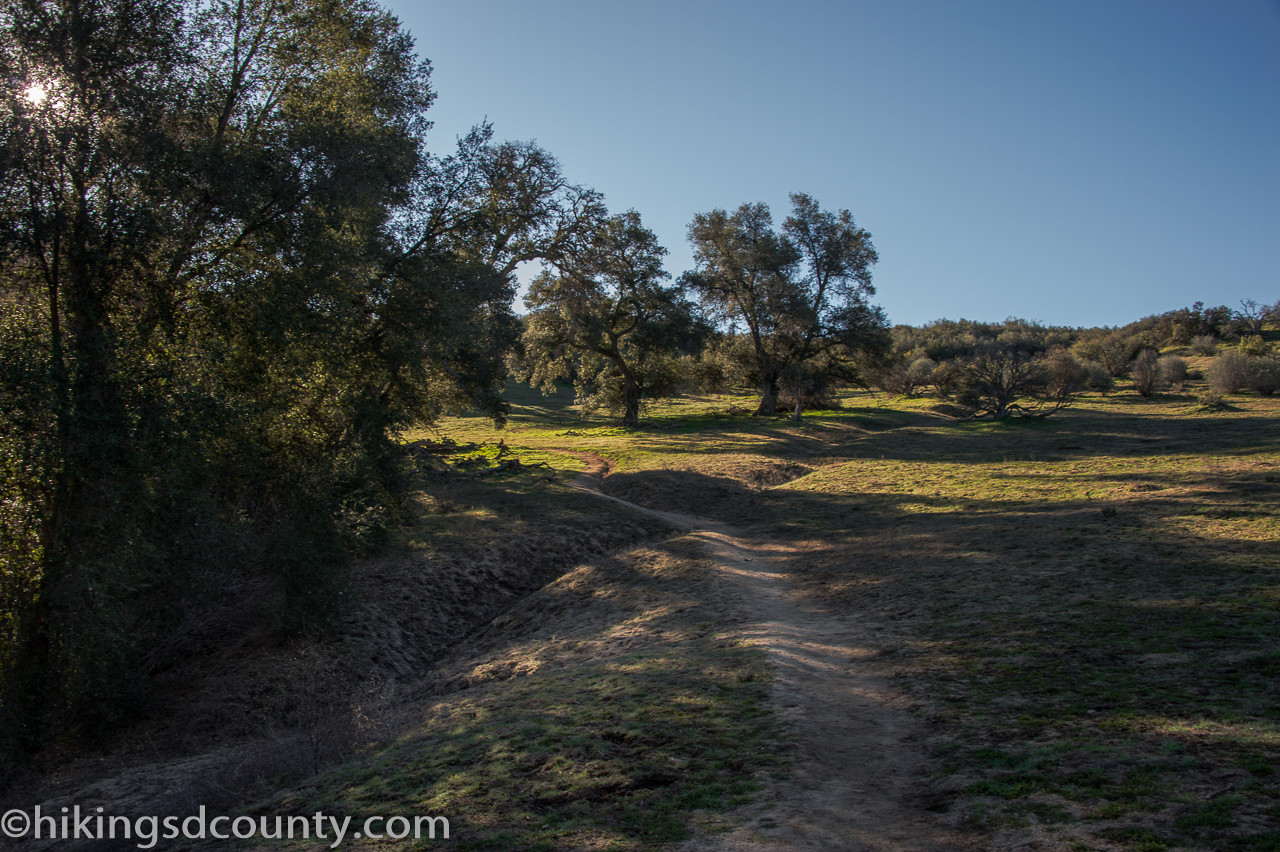 Oak-covered hillside view along the path to Eagle Rock