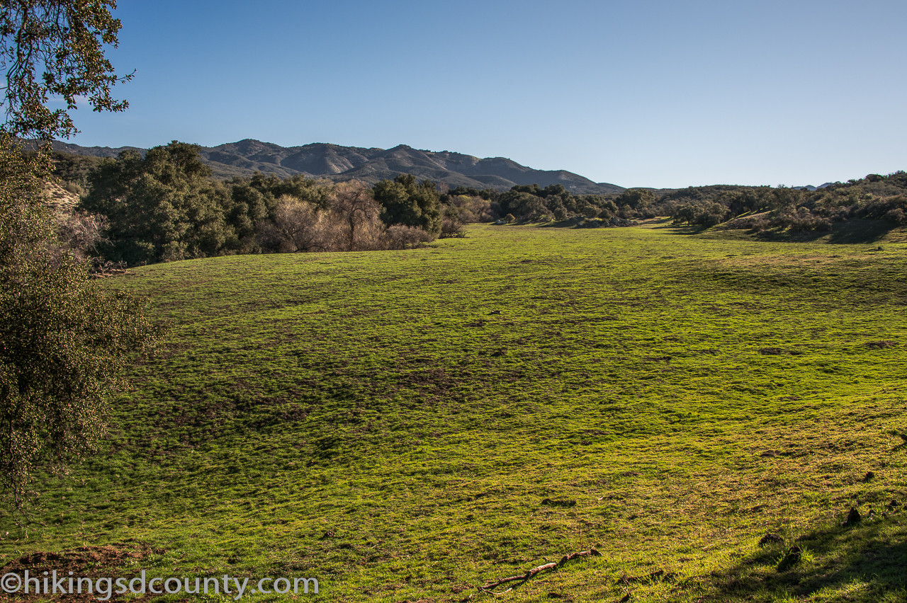 Wide grassy expanse on the Eagle Rock hiking route