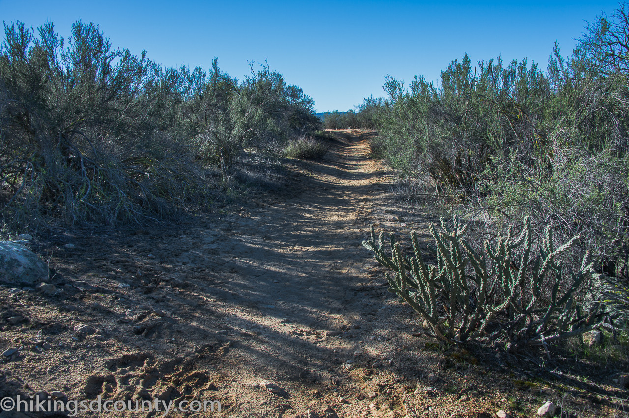 Chaparral landscape along the Pacific Crest Trail near Eagle Rock