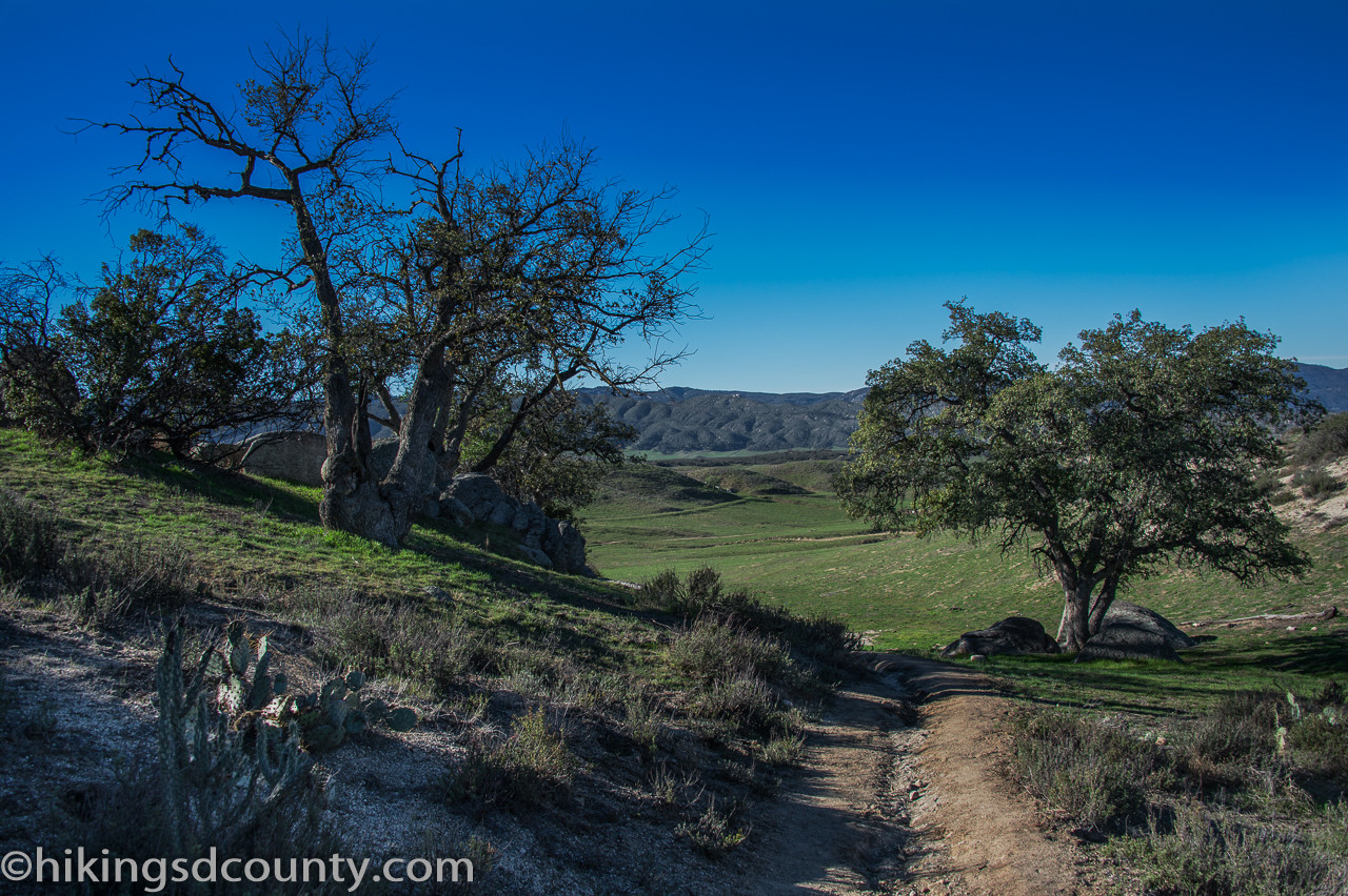 Rolling grassland landscape on the approach to Eagle Rock