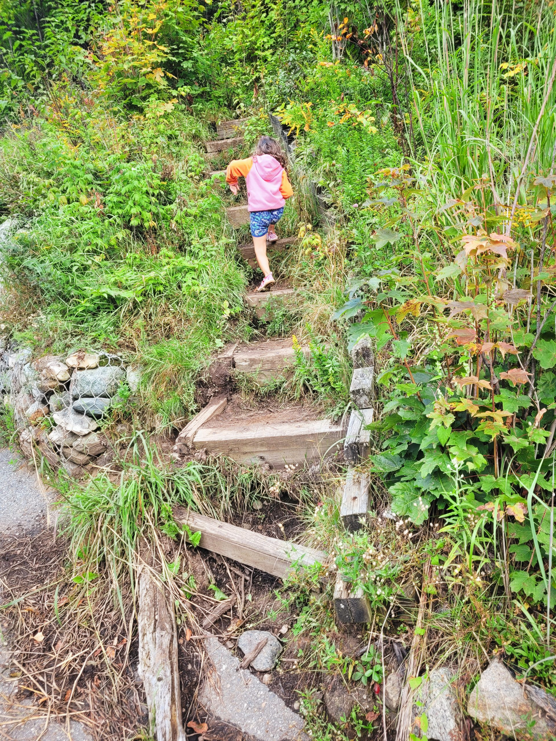 Steep wooden stairs lead up from the roadside, marking the beginning of the Balanced Rocks hiking trail.