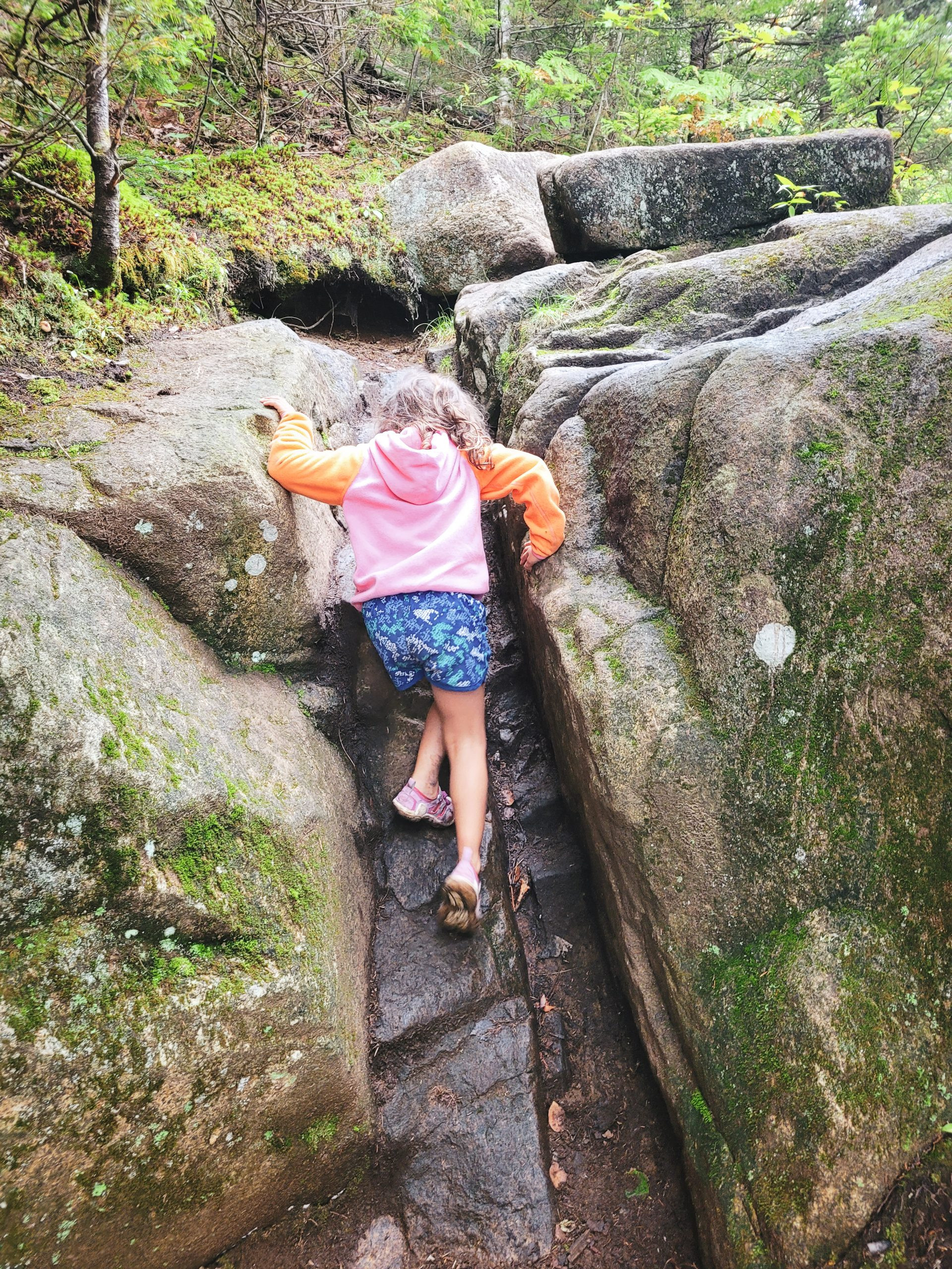 A rocky and uneven portion of the Balanced Rocks trail showcases typical Adirondack terrain.