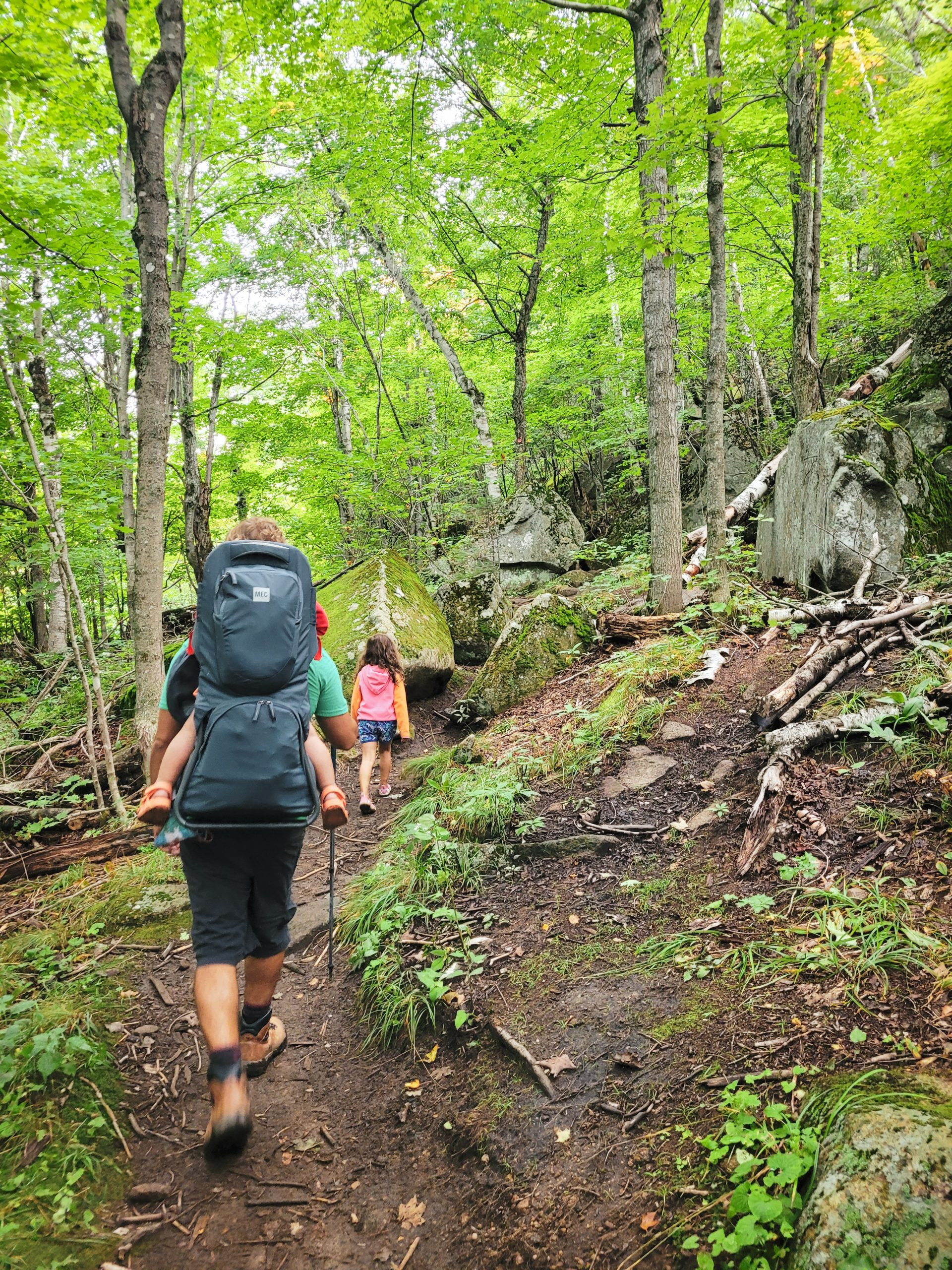 A relatively flat and easy section of the Balanced Rocks trail winds through the forest.