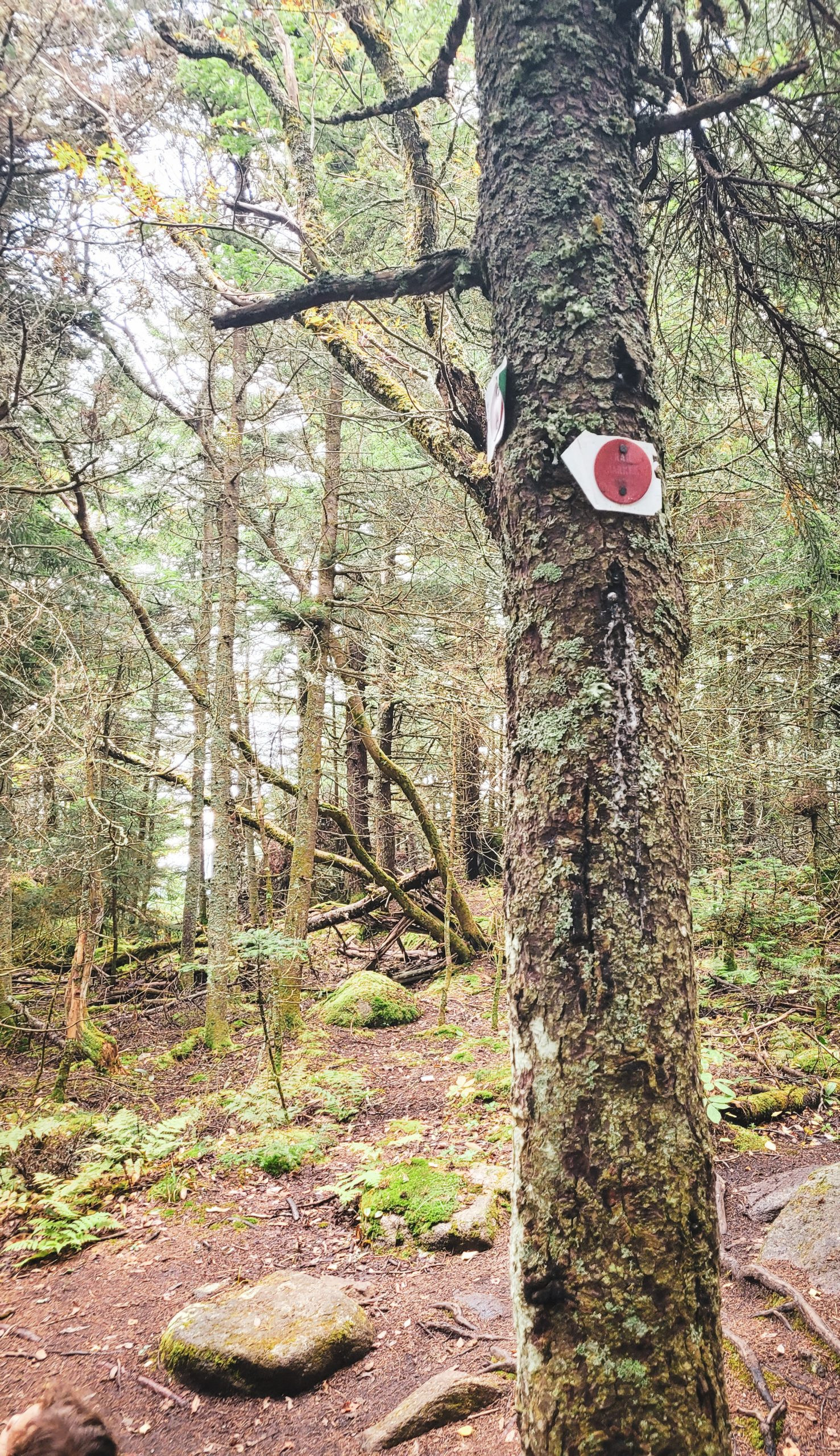 A trail junction marked with arrows indicates the path to Balanced Rocks, diverting from the Pitchoff Mountain trail.