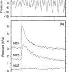 Formation fluid pressure records.