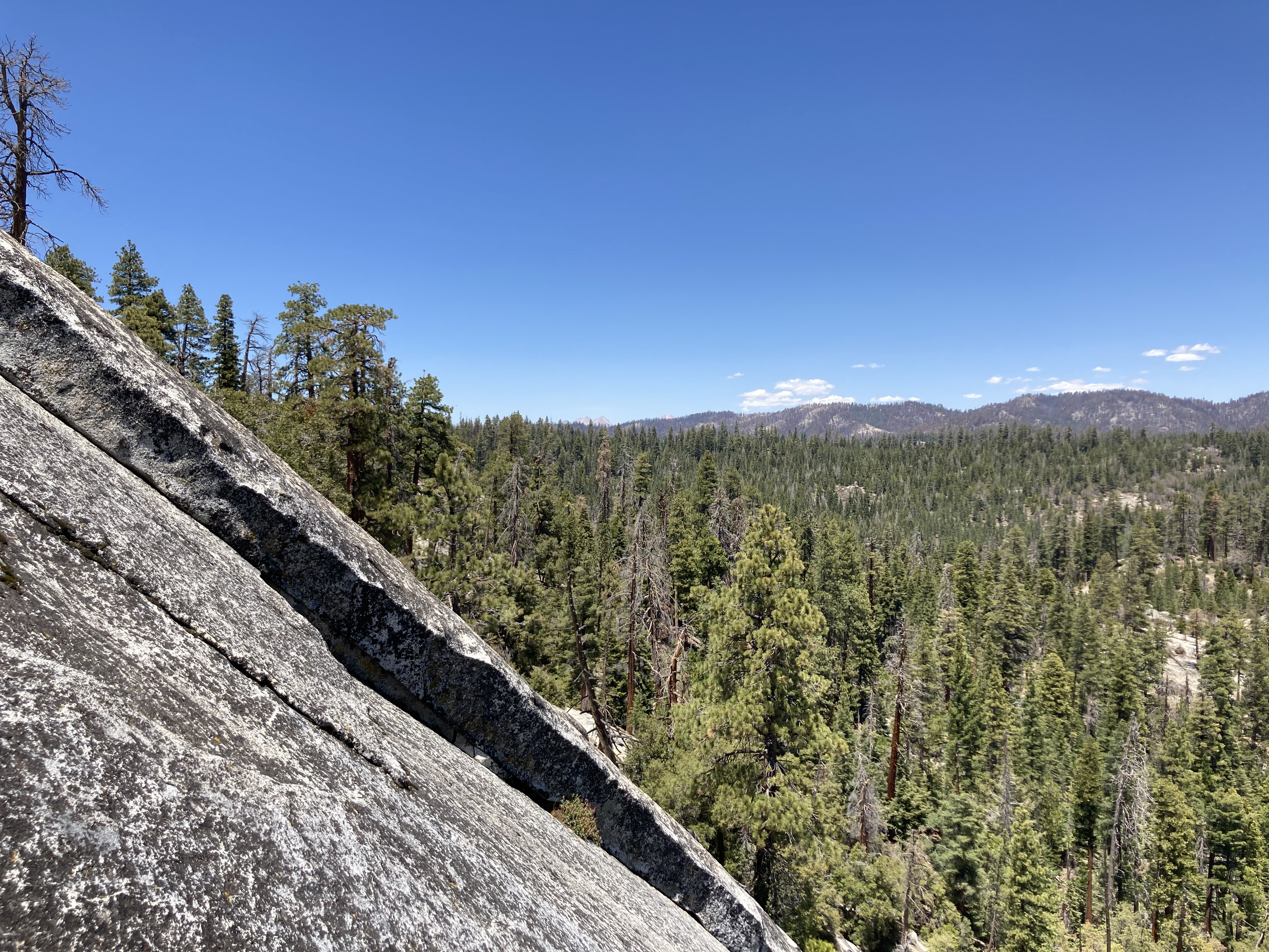 View from the belay station on pitch three of Dome Rock's Tree Route