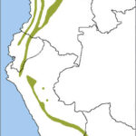 Andean Cock-of-the-Rock range map, NatureServe