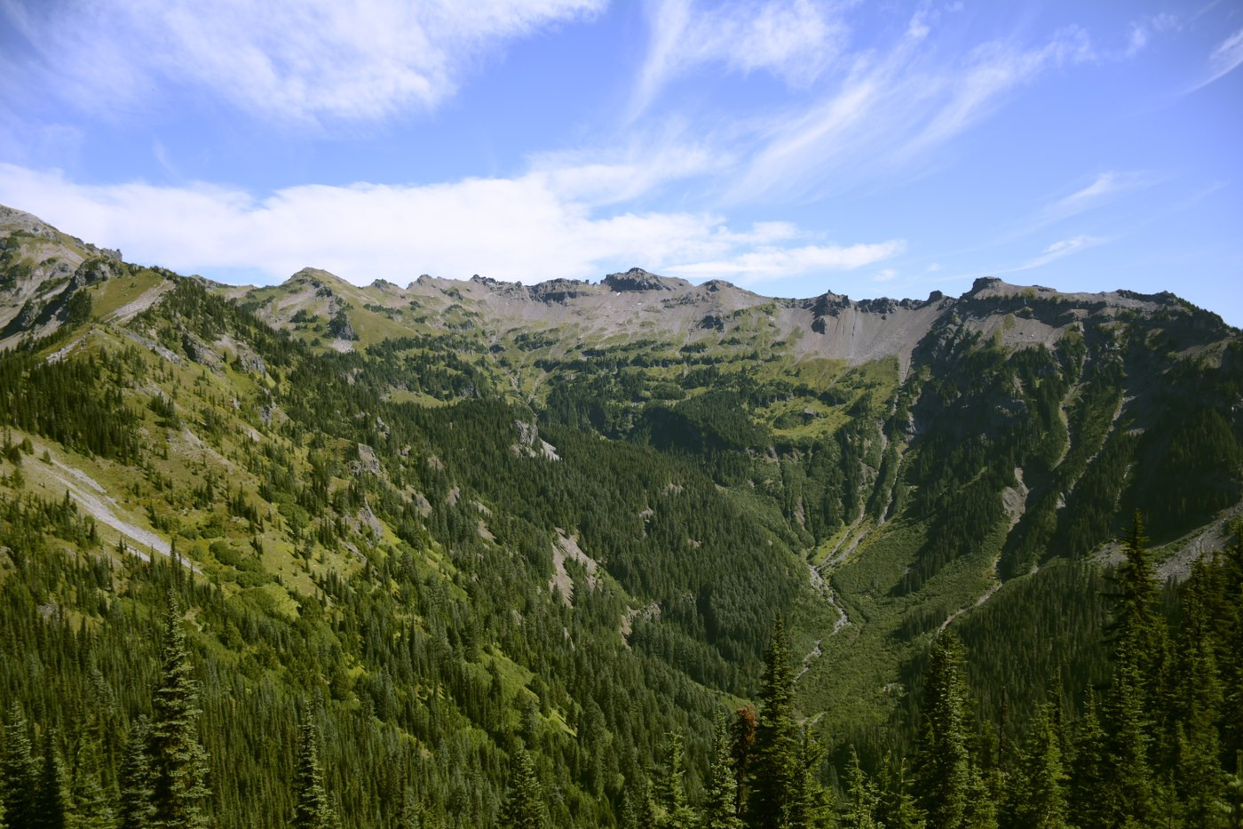 Angry Mountain trail in Goat Rocks Wilderness showing challenging terrain and remote wilderness scenery