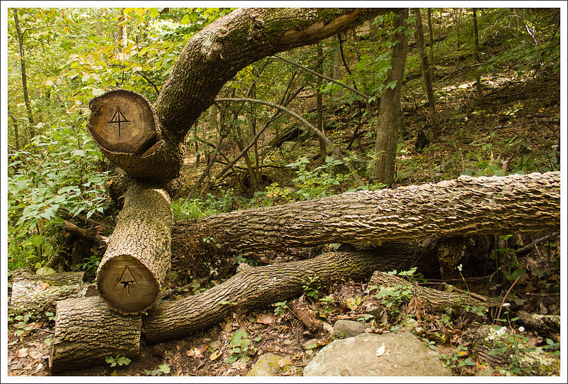 Trail Lunch and AT Logos on Deadfall