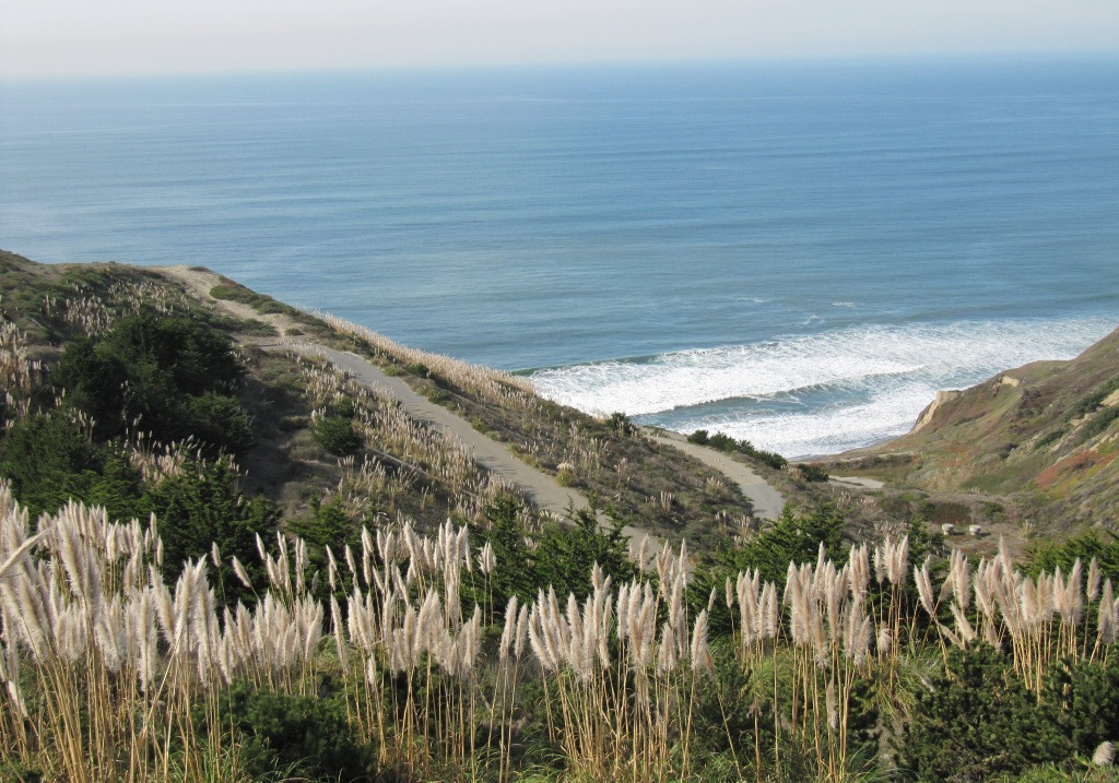 View into Avalon Canyon showcasing coastal erosion and the Pacific Ocean