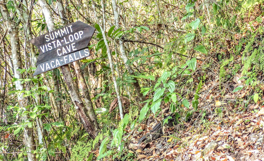 Hiking trail signs attached to a tree in the jungle at Black Rock Lodge Belize