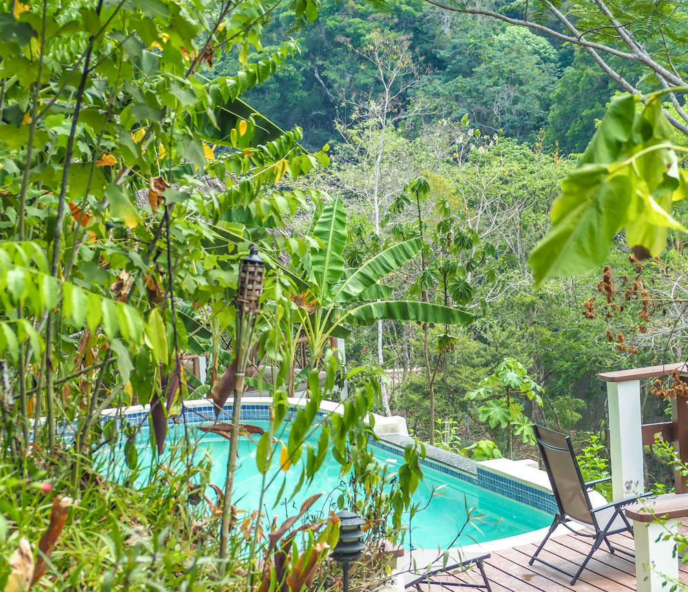 Swimming pool nestled in the jungle at Black Rock Lodge Belize