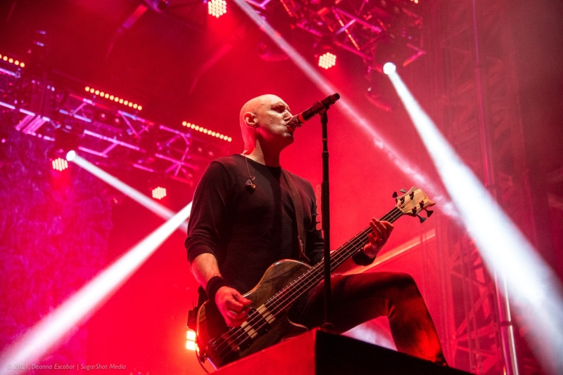 Breaking Benjamin's Aaron Bruch performing bass guitar at Blue Ridge Rock Festival Day 1. The bassist is headbanging and playing his instrument with energy.