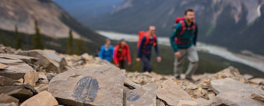 Hikers on a Burgess Shale trail observing fossils