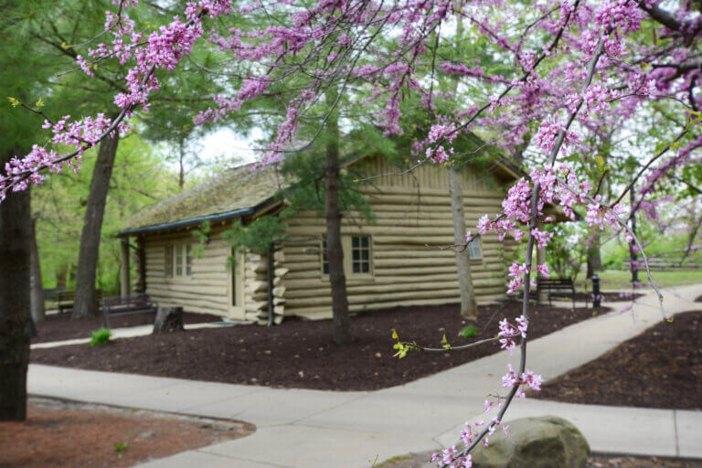 Sunset Cabin surrounded by lush greenery in springtime at Starved Rock Lodge