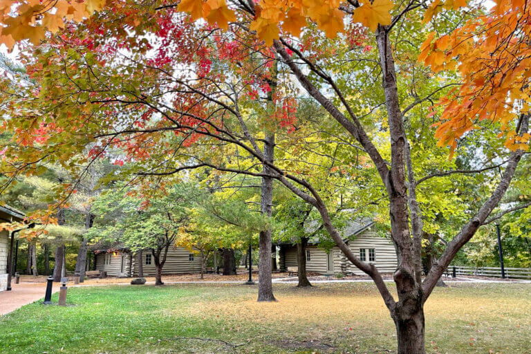 Sunset Cabins amidst vibrant fall foliage at Starved Rock Lodge