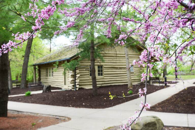 Sunset Cabin surrounded by blooming redbud trees in spring