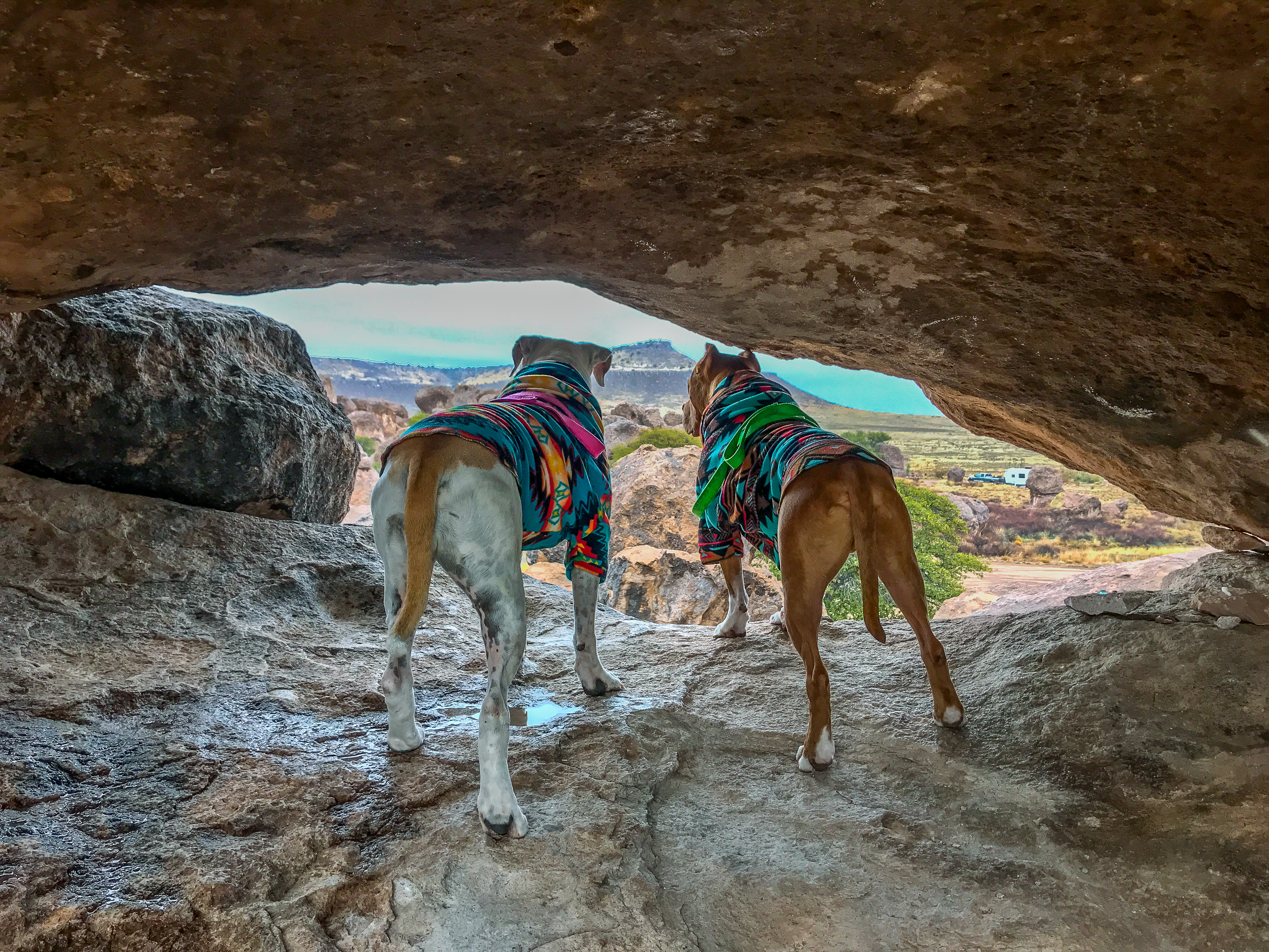 Exploring the cave-like formations within City of Rocks State Park, New Mexico, provides a fun adventure for campers and their canine companions.