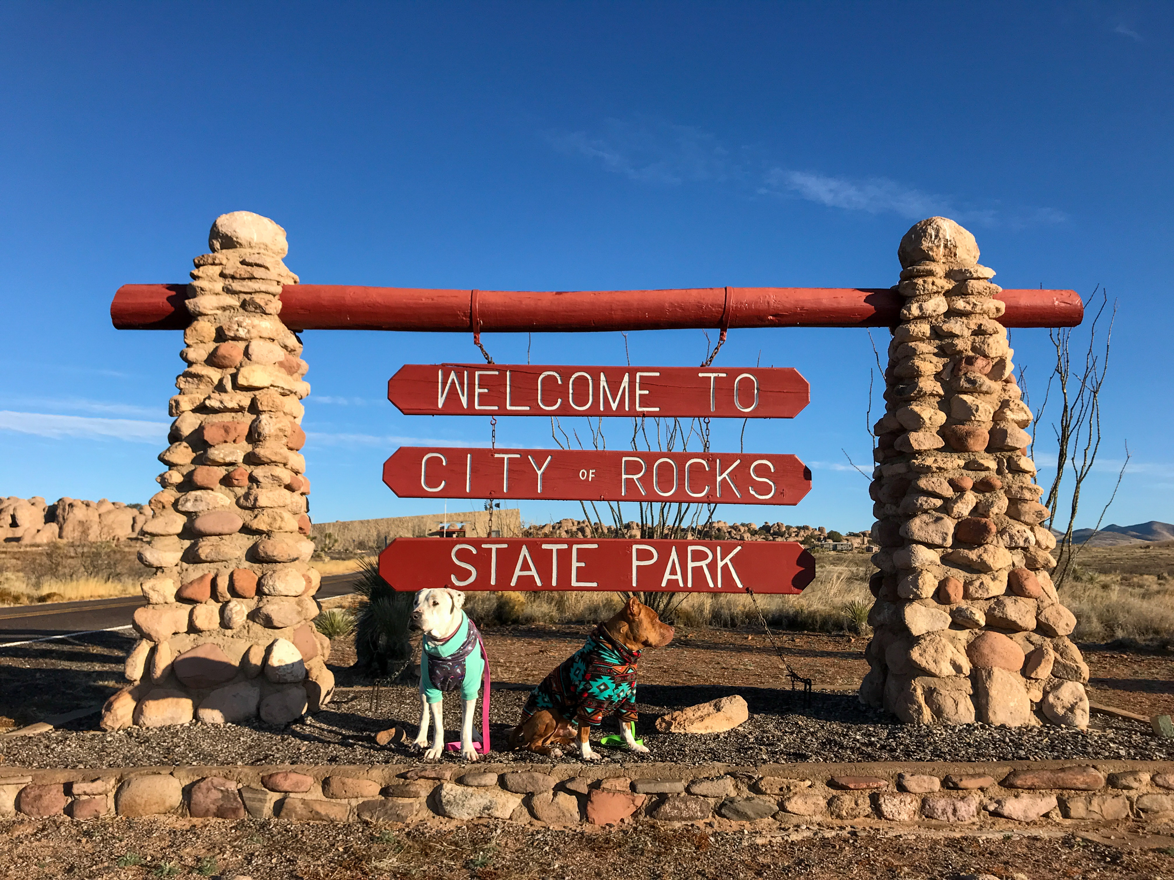 A pair of dogs stand proudly in front of the vibrant red wooden sign marking the entrance to City of Rocks State Park, New Mexico, welcoming visitors to explore its geological wonders and recreational opportunities