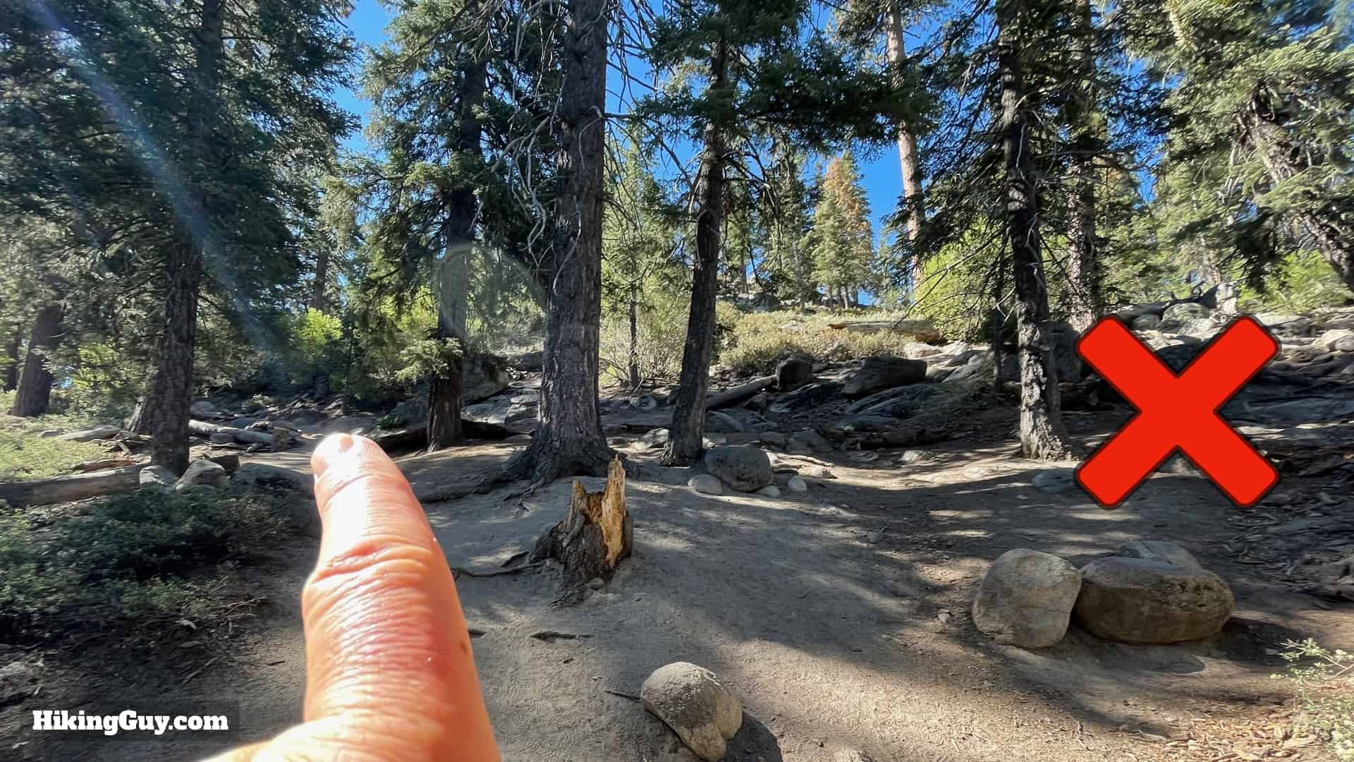 Clearing on Castle Rock Trail, stay left to continue official path