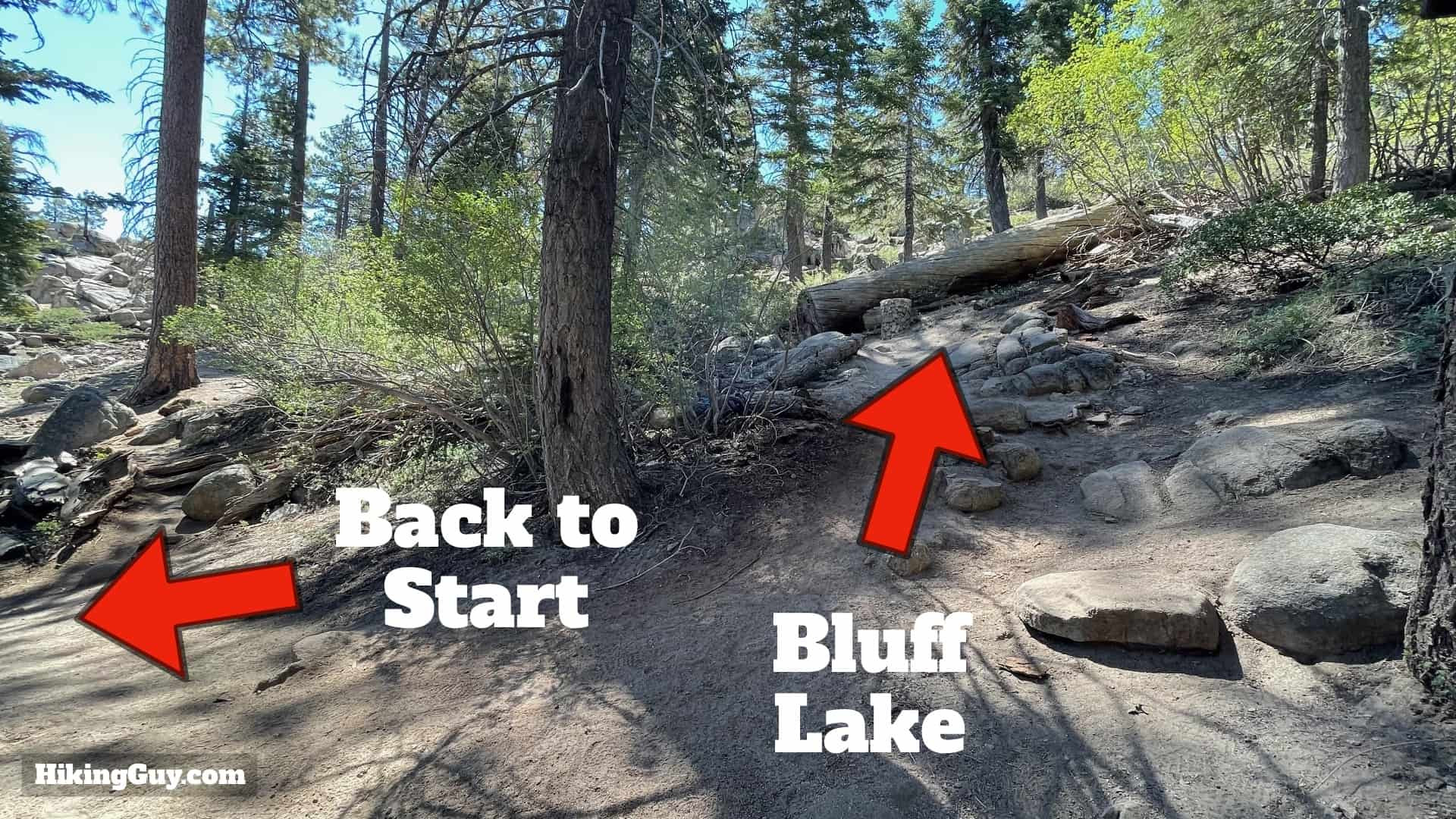 Junction to return or continue to Bluff Lake on Castle Rock Trail