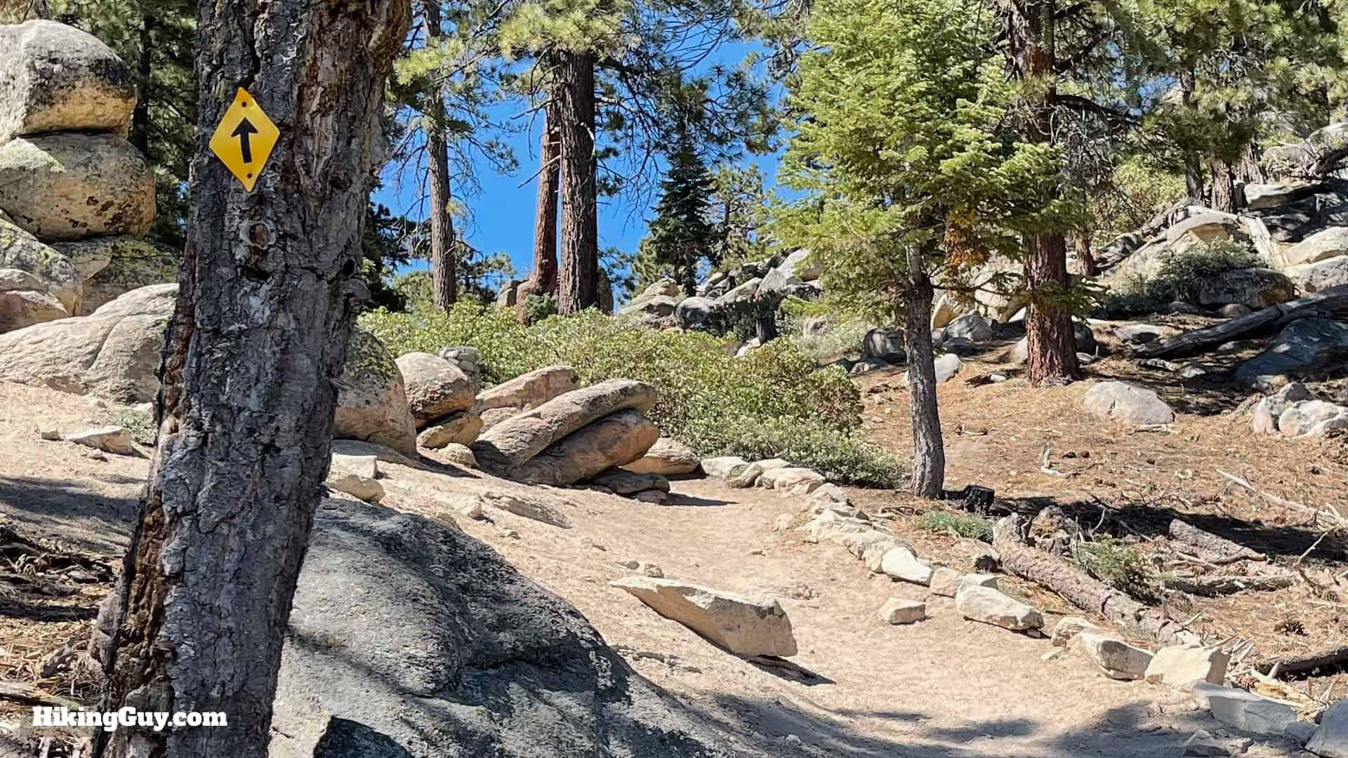 Yellow trail markers appearing on the path to Bluff Lake