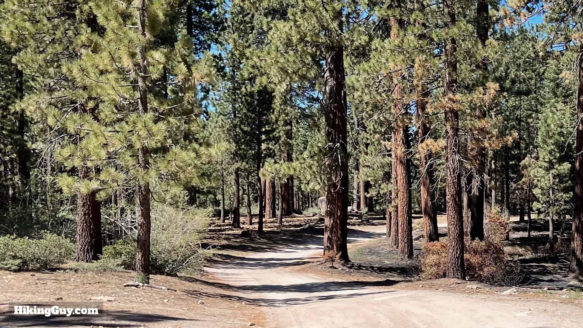 Kidd Creek Rd towards Bluff Lake