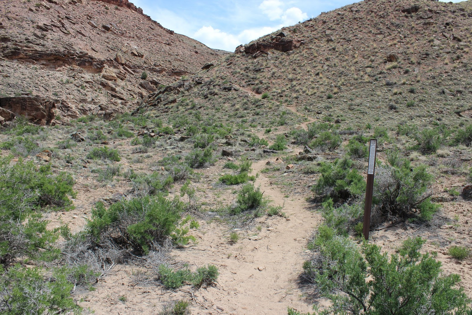 Dirt road leading to the Cool Rock Canyon trailhead in Colorado, suitable for SUVs and cars.