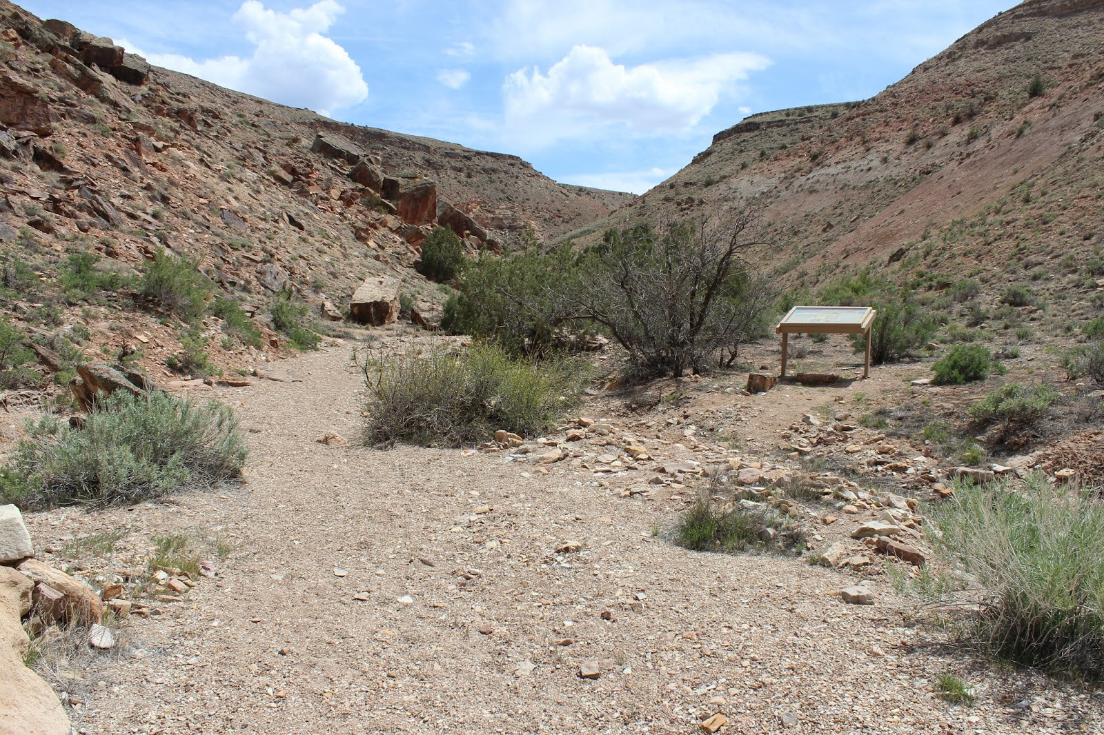 Unique water-worn sandstone rock formation in Cool Rock Canyon, showcasing the canyon's namesake features.