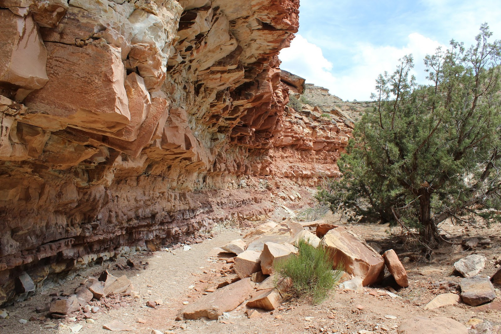 Close-up of a distinctive &quot;cool rock&quot; in Cool Rock Canyon, highlighting the textures and colors of the sandstone.