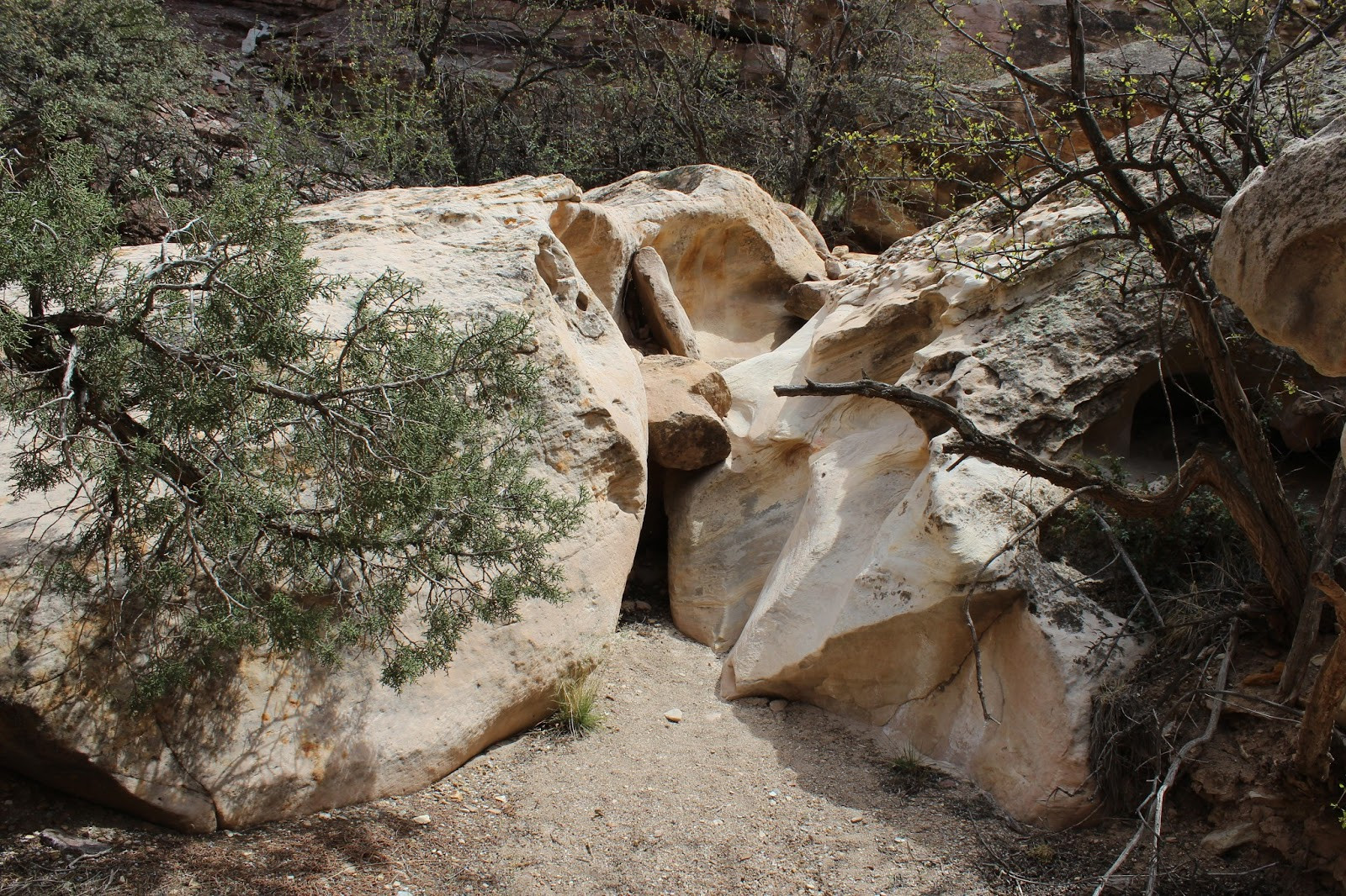 Colorful canyon walls along the Cool Rock Canyon trail, showcasing the geological diversity of the area.