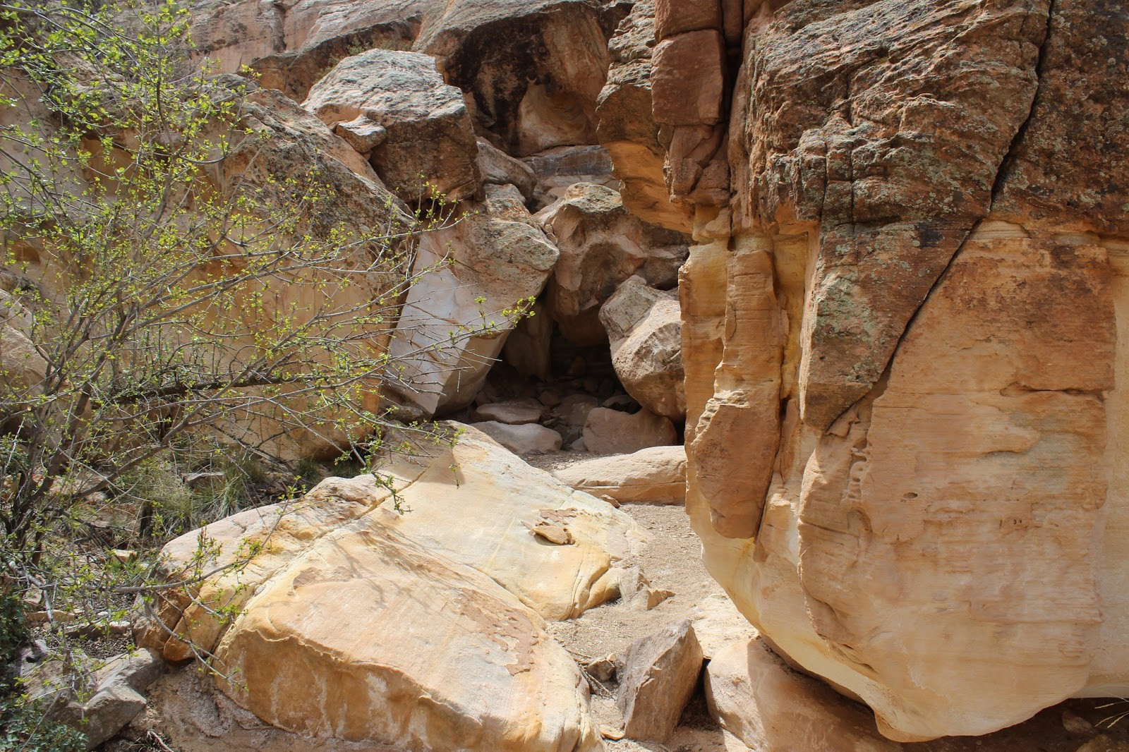 Hikers navigating boulders in Cool Rock Canyon, illustrating the moderate difficulty and terrain of the trail.