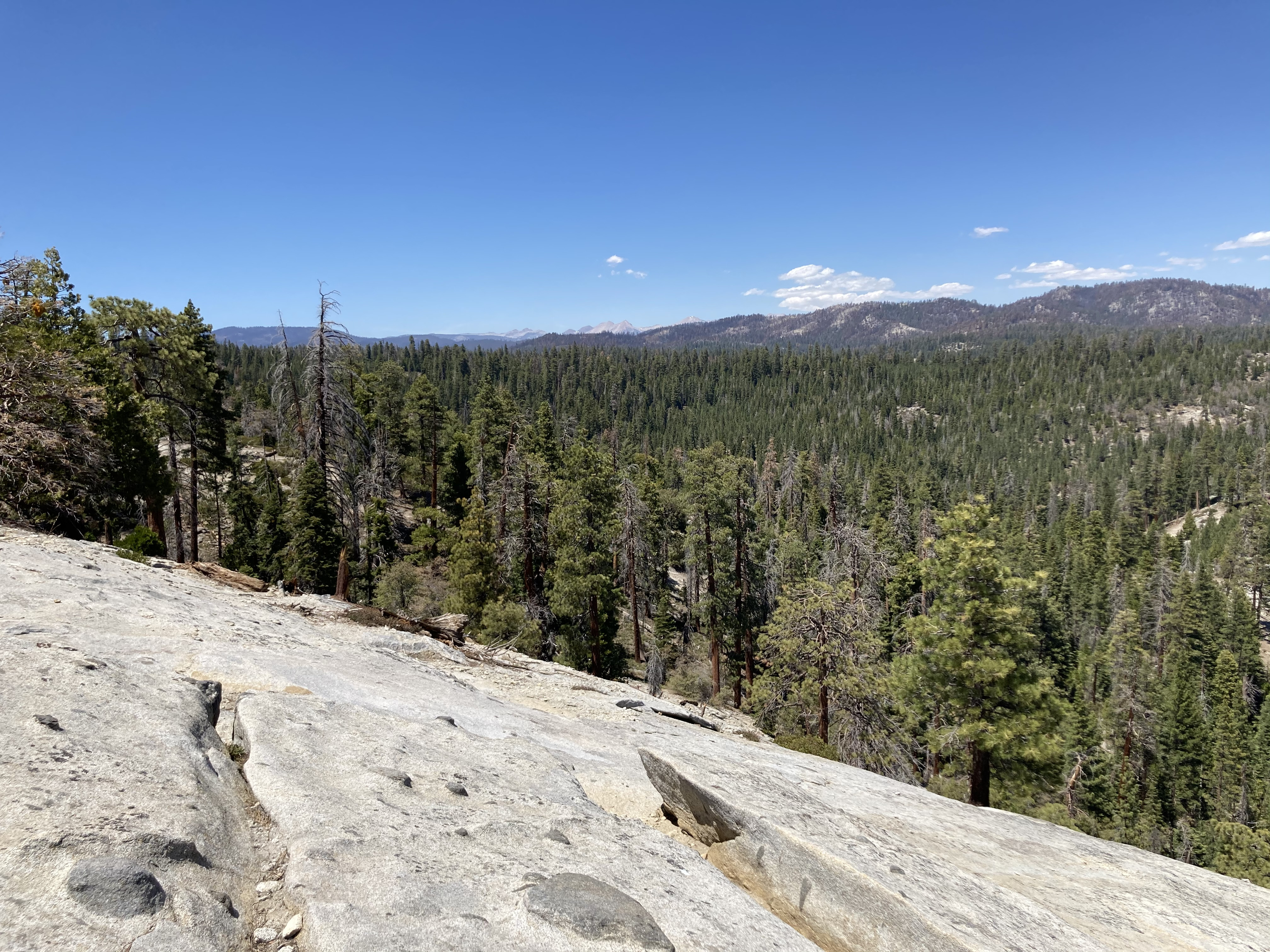 Northern view towards Mineral King from the summit of Dome Rock