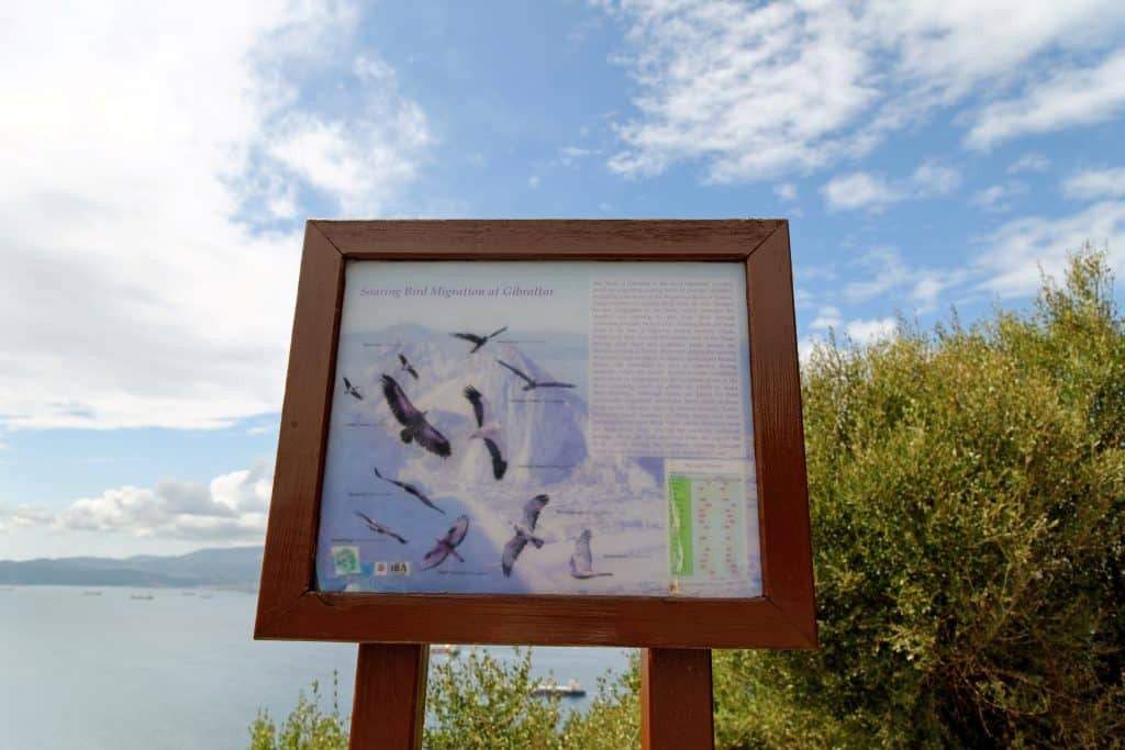 View inside the Alameda Wildlife Conservation Park in Gibraltar, featuring lush greenery and animal enclosures.