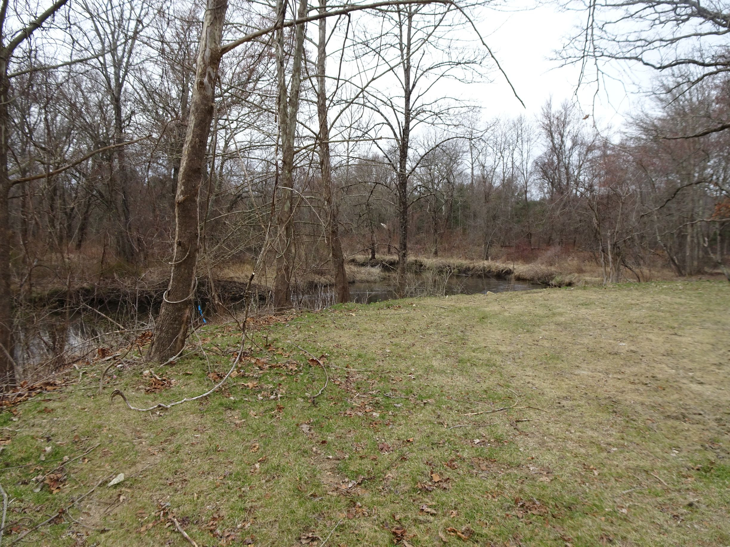 Clearing along the Blackstone River