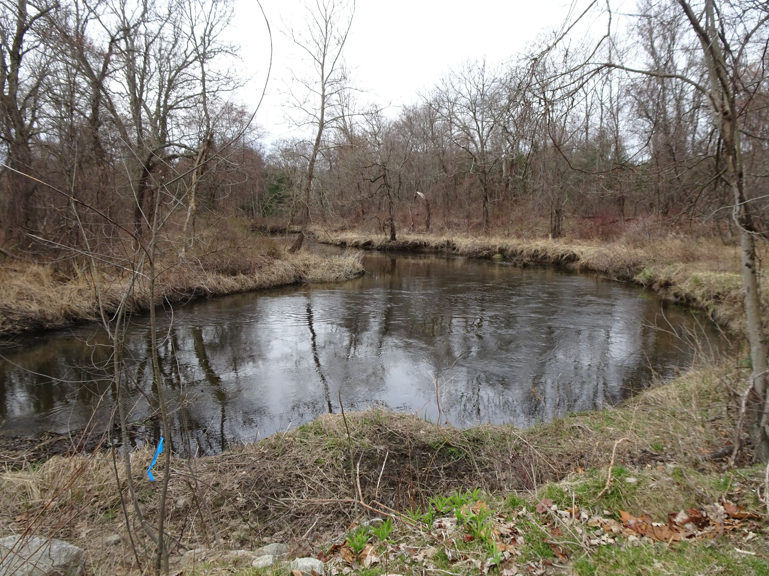 Upstream from Skull Rock Lock