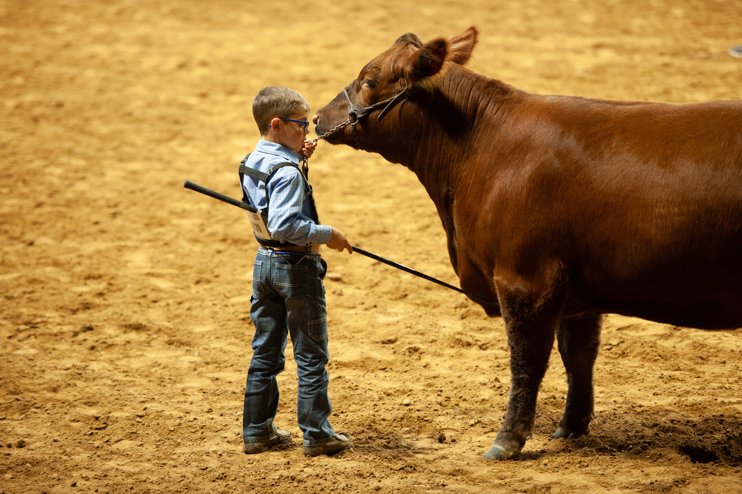 Become a Vendor or Participant at the Arkansas State Fairgrounds