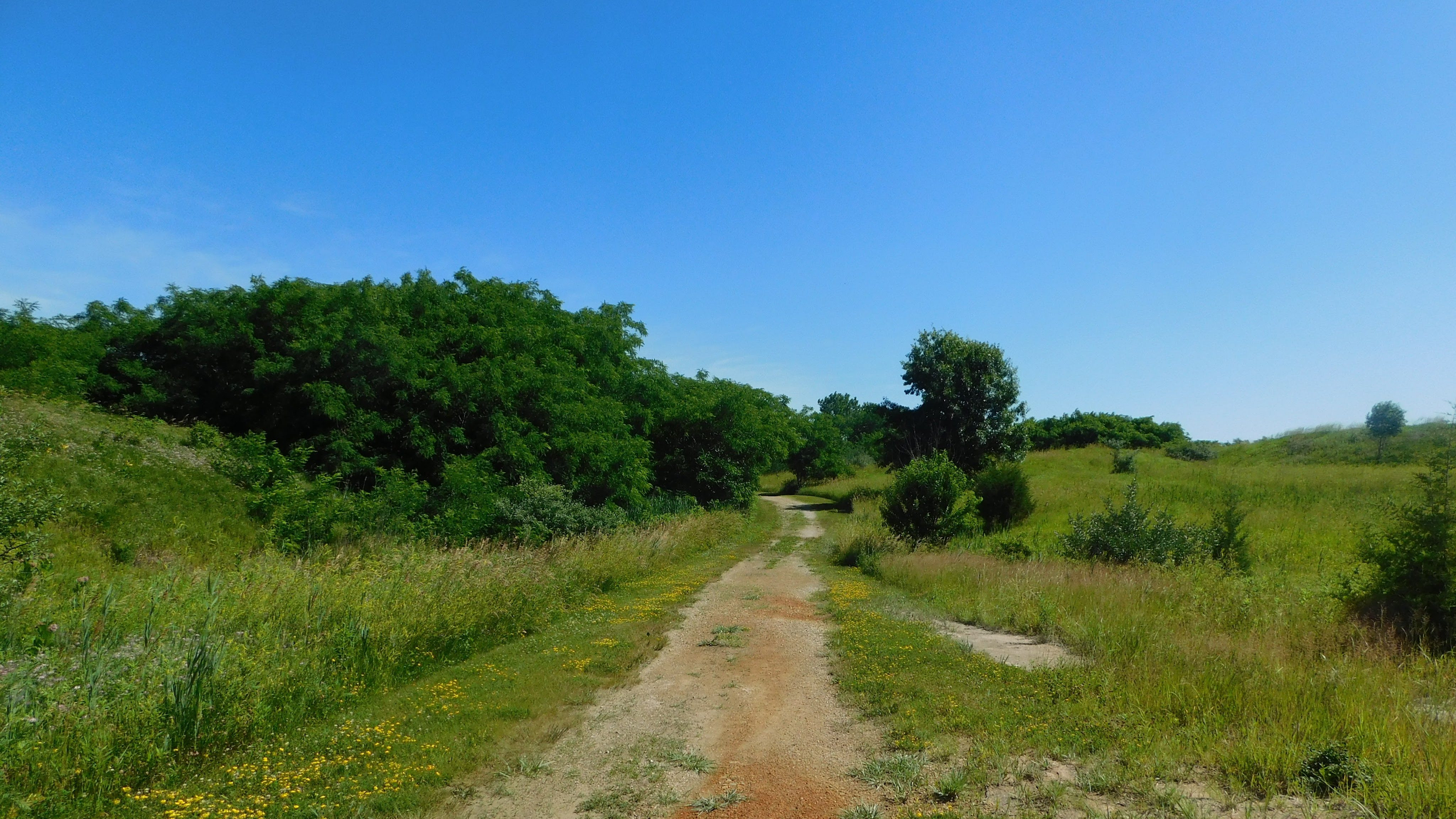 Scenic view from the bluff at Buffalo Rock State Park