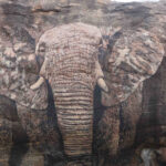 Elephant rock art in Northern Rangelands, Kenya