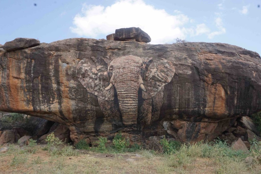 Detailed view of the elephant rock painting