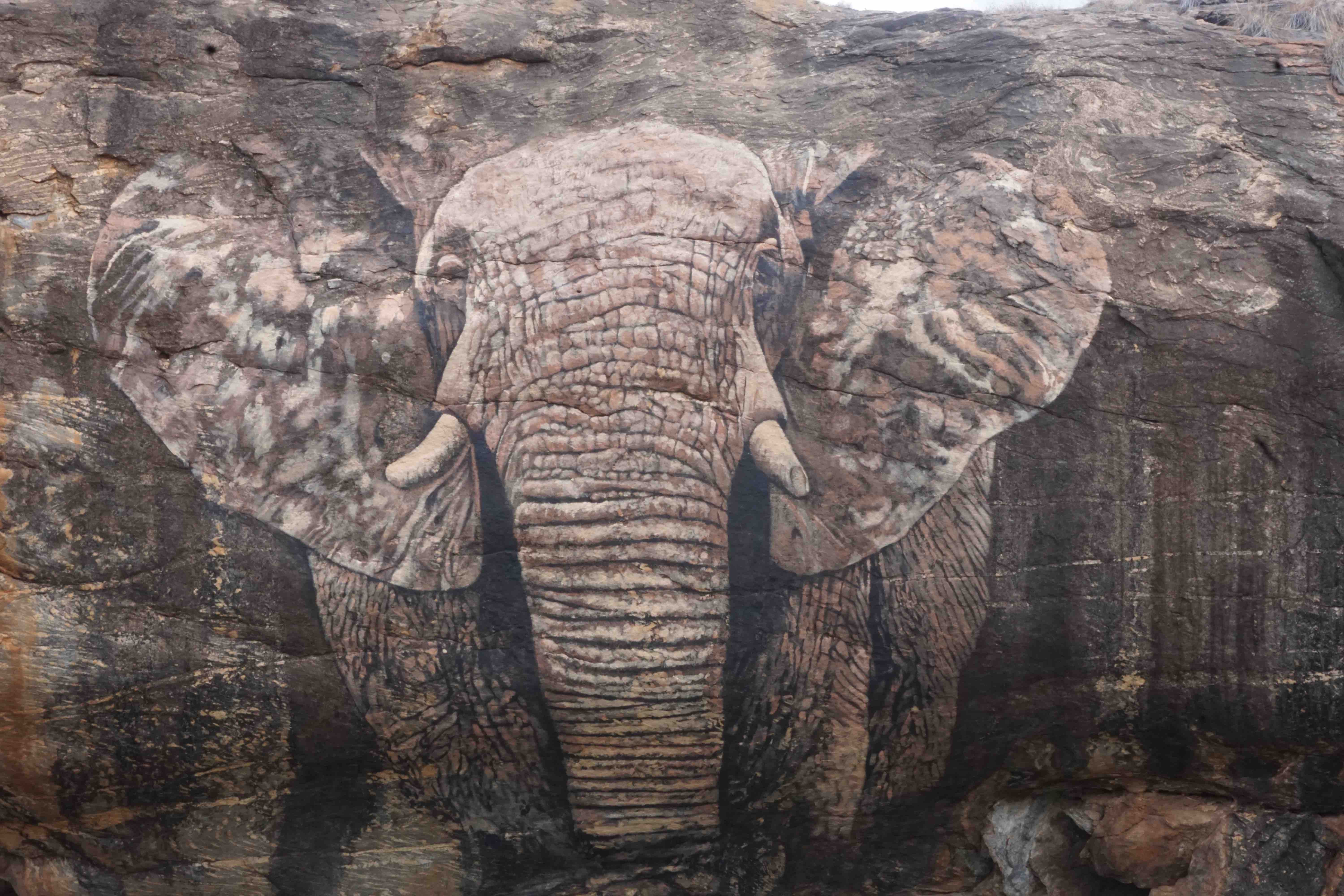 Elephant rock art in Northern Rangelands, Kenya