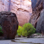 Balanced rocks stacked in a wilderness area