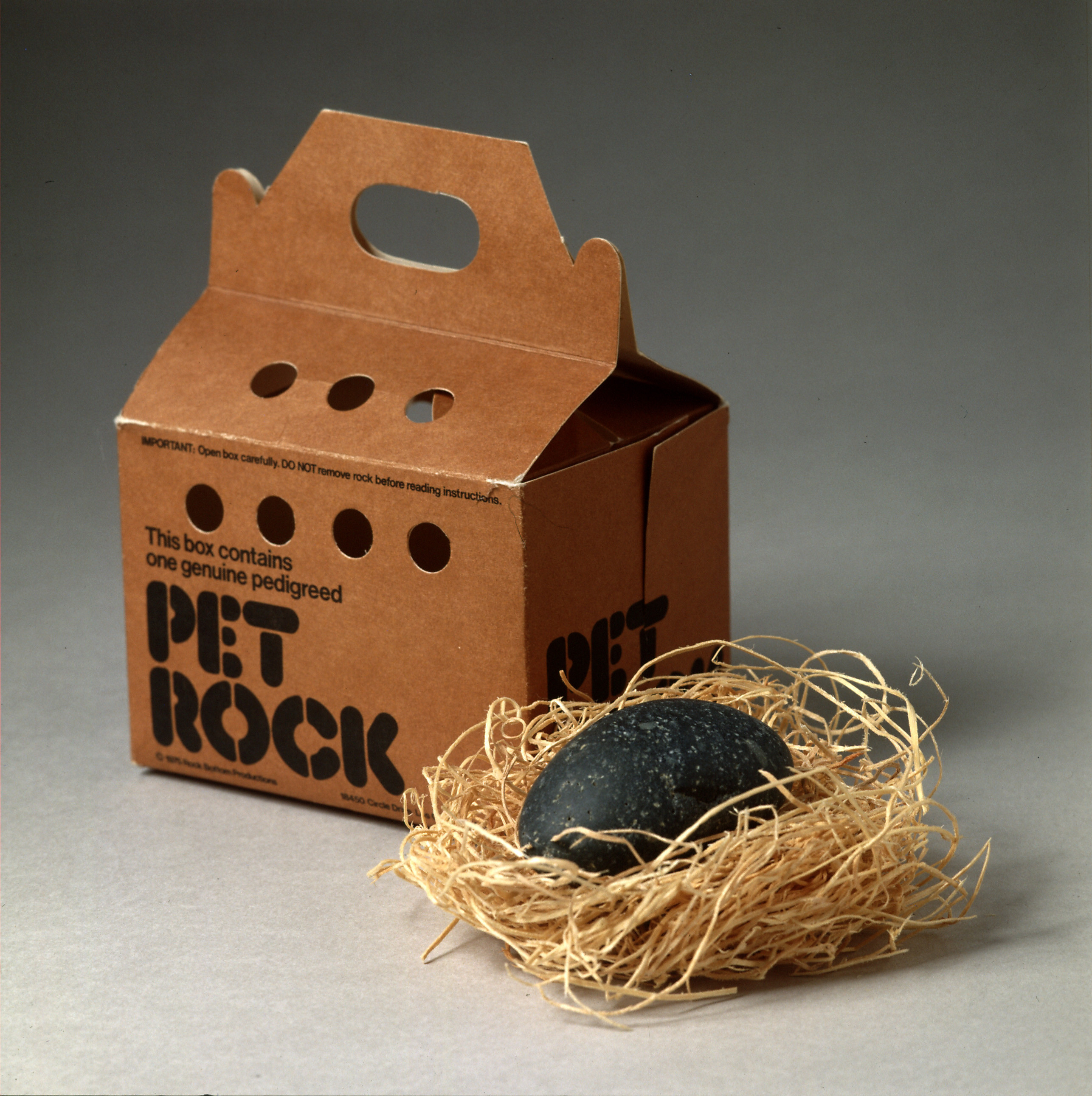 A vintage Pet Rock in its original cardboard box with instruction manual.