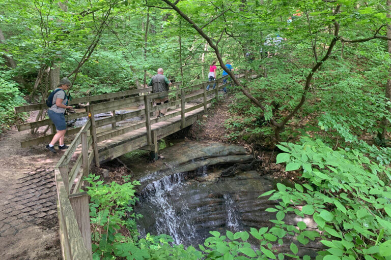 Guided hike group on a trail in Starved Rock State Park