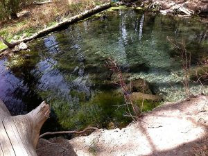 Clear and refreshing McCauley Hot Springs pools